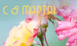 С 8 марта 2019!