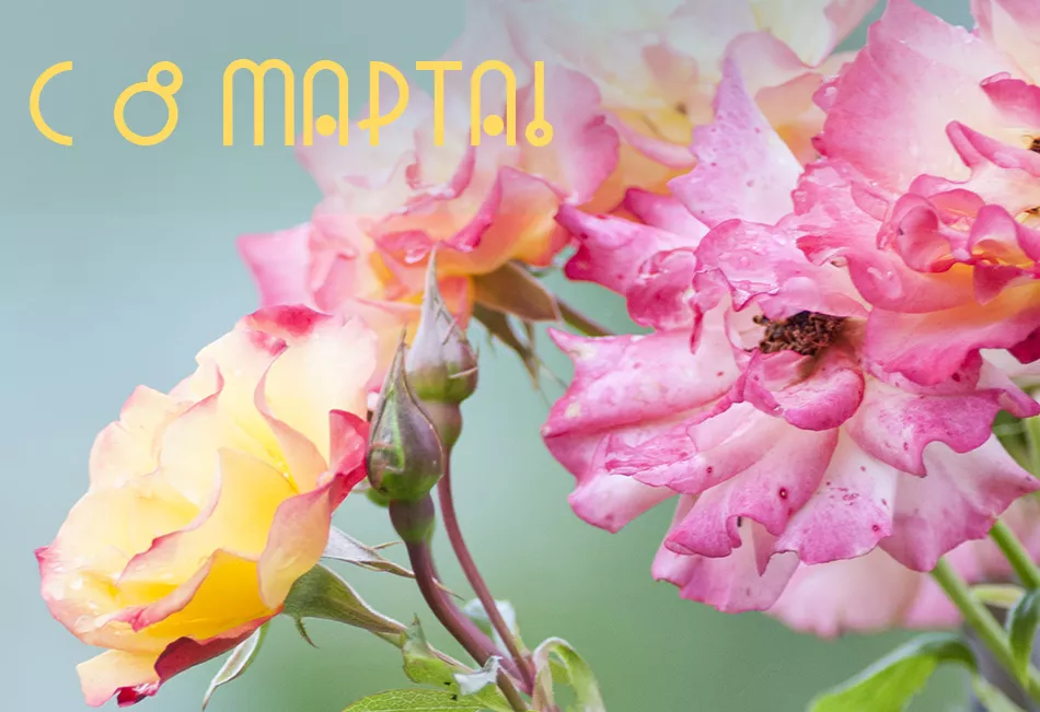 с 8 марта